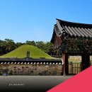 대성동 고분박물관 인근 에스에스커피앞 | 김해 가볼만한곳! 수로왕릉 산책 코스 입장료 및 주차(놀면뭐하니 김해왕자 양상국 촬영지)