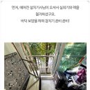 일신로 | 인천 포장이사 영구크린 253호점 후기