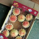 금화농장 이미지