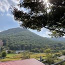 가고파플라워 이미지