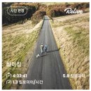블랙야크 맞은편 횡단보도 | 초록초록 싱그러움 가득한 7월의 민둥산(feat. 최강 예쁨 돌리네)❤