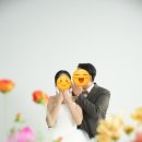 W.#36 라흐스튜디오:) 센터피스 및 잔꽃 활용 테이블씬 수정본 후기
