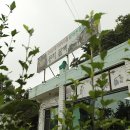 청계로주유소 티스토리