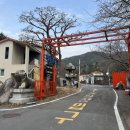 메르시 풀빌라 이미지