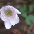 산오름 이미지