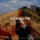 협신물류(주) | 울릉도 자유여행 겨울 방문 시 주의해야 할 점들!