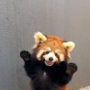 오브(AUBE) 이미지