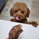 아이디얼컴퍼니 이미지