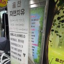 자연치유 | 부천 괴안동 마사지 [움찬자연치유] 통증관리 받고 온 후기