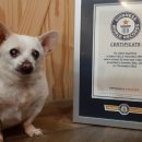 한세계농장 이미지