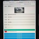 디 오아시 이미지