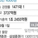 일진마켓 이미지