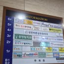 꿀살롱 | 경기도 광명 광명사거리역 인근 파스타 맛집 일태리살롱 후기