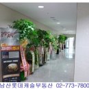 남산한의원 - 논산시 중앙로 258 | 남산한의원
