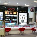 가우스안경 이미지