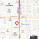 댕댕미식회 이미지