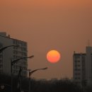 금호강4 이미지