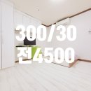 경기도 수원시 영통구 신원로198번길 이미지