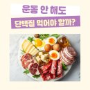 (주)SY가스 | 운동 안 해도 단백질 먹어야 할까? 목적별 단백질 섭취량 기준 및 종류 추천[센텀 PT WS 피트니스]