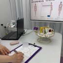 쓰리디웨이브 | 대전 골격진단｜컬러루미닝에서 체형진단 받아본 리얼 후기