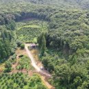 바닷가 숲속 이미지