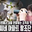 세 모녀의 작당 모의가 하나의 지도를 완성했다?! &#39;팔순 맹순씨의 아파트 새지도&#39; | 자연의 철학자들 55부 울 엄마 맹순 씨의 새들처 이미지