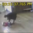 유치원 발레 이미지