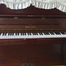 사림동153 이미지