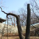 산성등산로2 이미지