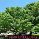 벌말경로당 이미지