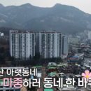 트래블어드바이저 이미지