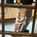 샤로브냐 이미지