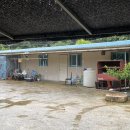 승암식당 이미지