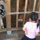 알라딘팜 이미지