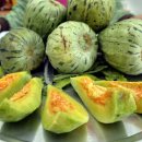 이창길 농장 이미지