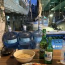 도림천화장실 | 신대방역 포장마차 3번 출구 도림천뷰 노포 감성 술집 내돈내산 후기