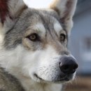 송파데일리동물병원 이미지