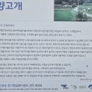 석불주유소 이미지