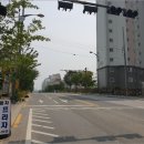 덕진-13 이미지
