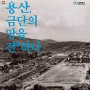 백금단 이미지