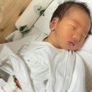 반애 | 삼성병원 신생아 황달 수치 및 중환자실 NICU 광선 치료 후기