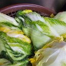 주식회사 플러스팜 이미지