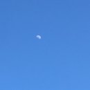 미스육감 이미지