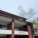 용산-346 | 서울 용산공원 미군기지 부분개방부지 꽃놀이 겸 재방문 - 카페 언타이틀드