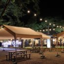 애견카페 134 이미지