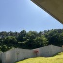 지중서원 이미지