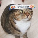 기요항 - 성남시 분당구 대왕판교로606번길 58 | 기요항