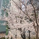 [내돈내산]비건 디저트 &#39;인터랙트&#39;, &#39;리솜브레드&#39; 팝업 후기 (건강해진 느낌🤣)