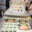 (주)판다 | 명동 팝마트 라부부 텔레토비 스컬판다 재고 다녀온 솔직 후기