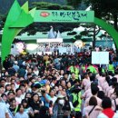 무주반딧불투어 이미지